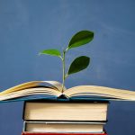 6 legume care sunt mai sanatoase gatite decat crude